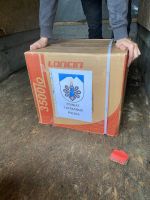 IMG-20221117-WA00061