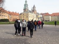 IMG_20240325_141855