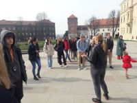 IMG_20240325_141858
